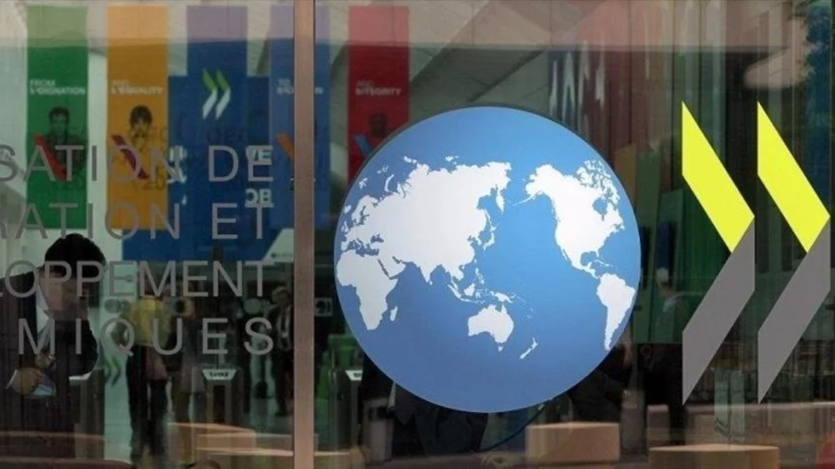 OECD’nin gözünden küresel asgari vergi