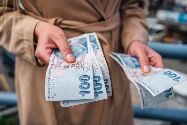 Vatandaşlık maaşı geliyor