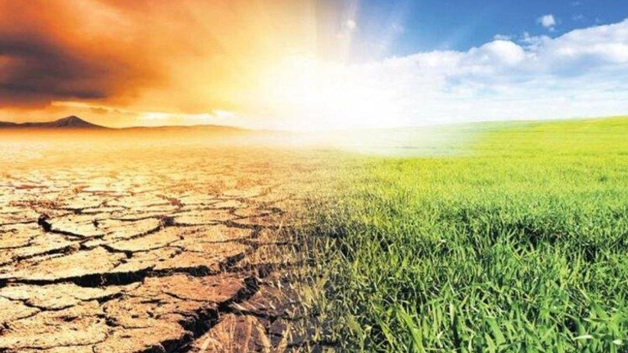 Kısır döngü: Kuraklık, susuzluk ve kıtlık