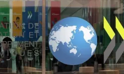 OECD’nin gözünden küresel asgari vergi