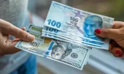 Yabancı Paraların TL Mevduat Ve Katılma Hesaplarına Dönüştürülmesinden Elde Edilen Kazançlara İlişkin İstisna Uygulaması