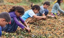 Çocuk ve genç işçileri koruyucu düzenlemeler