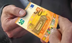 325 EURO DESTEĞİ KİMLER ALACAK?