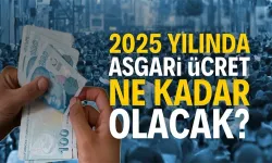 2025 yılı asgari ücreti ne olacak?