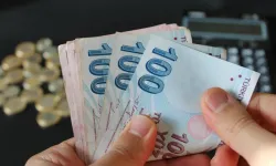 Biriken Kamu Alacakları ve Tahsilat Oranları