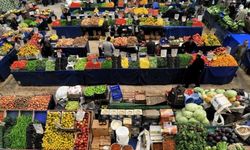 Üretici birliklerine yönelik özel hal kurulacak