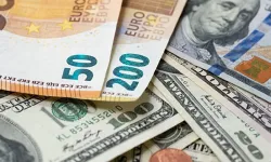 Döviz Dönüşüm Desteğinde Süre Uzatımı
