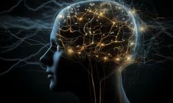 Beyin dalgalarına göre reklamlarla satışlarını artırdılar