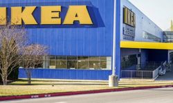 IKEA iki ülkeden bir 'şehir büyüklüğünde' orman satın aldı