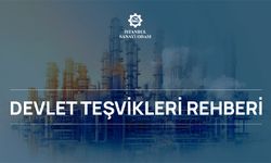 Devlet Teşvikleri Rehberi