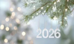 Yeni Yılın Mutluluk Ve Huzur Getirmesi Dileğiyle...