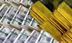 Merkez Bankası 183,24 milyar dolara yükseldi