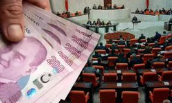 Kariyer mesleklerinin zam talebi…