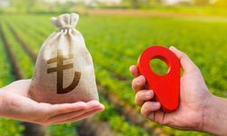 2025 yılının arızi kazançlarının vergilendirilmesi