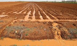 'Türkiye tarımda kullandığı suyun yarıdan fazlasını israf ediyor'
