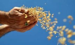 'Sırada gıda güvenliği krizi var'