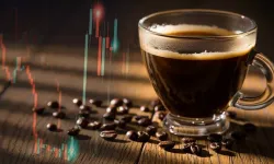 Kahve piyasası gelişmeleri ve Türkiye etkisi