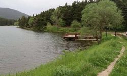 Milli parklarda yeni dönem: Döner sermayeli işletmeler geliyor