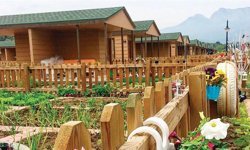 Hobi bahçelerine yönelik düzenleme ve sürdürülebilirlik krizi