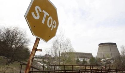 Çernobil'de tarım yapıp, dünyaya satmışlar