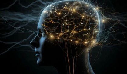 Beyin dalgalarına göre reklamlarla satışlarını artırdılar