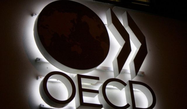 OECD, Türkiye'nin büyüme ve enflasyon rakamlarını revize etti