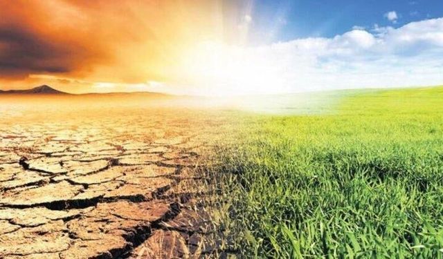 Kısır döngü: Kuraklık, susuzluk ve kıtlık