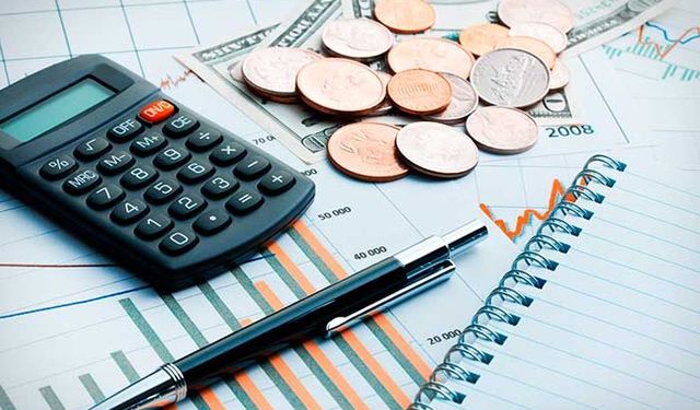 2025 yılı menkul sermaye iratlarının beyanı