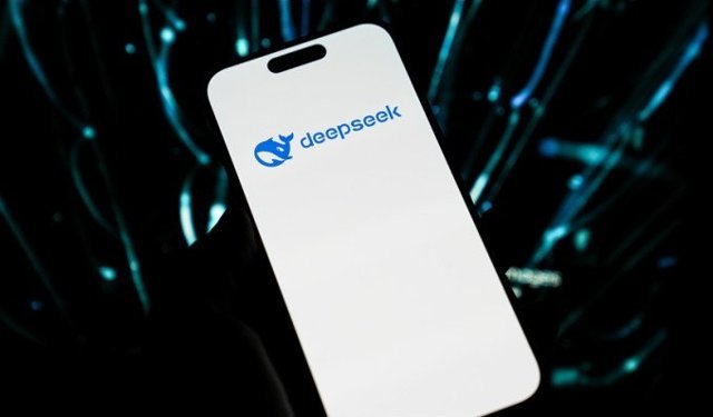 DeepSeek'te kesinti