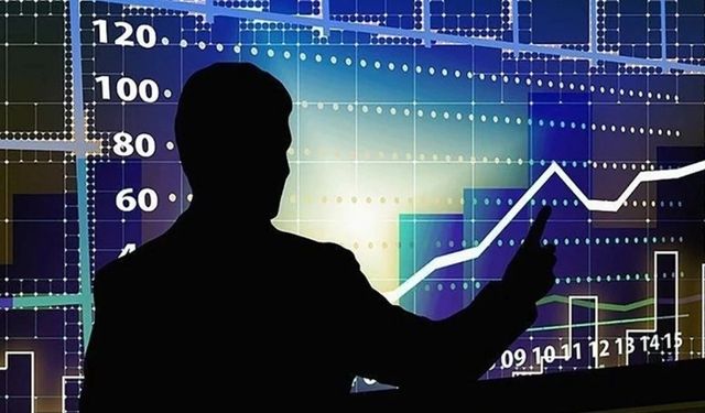 Şeref Oğuz yazdı: Ekonomide uyandırma servisi