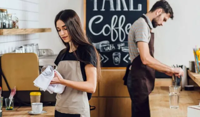 Çocuk ve gençlerin çalıştırılma esasları