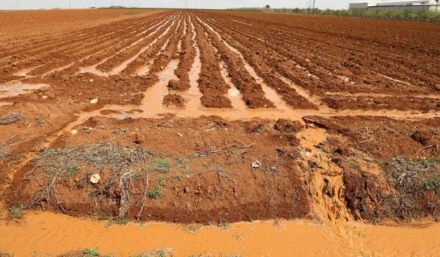 'Türkiye tarımda kullandığı suyun yarıdan fazlasını israf ediyor'