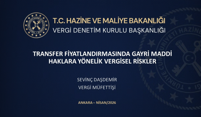 Transfer Fiyatlandırmasında Gayri Maddi Haklara Yönelik Vergisel Riskler