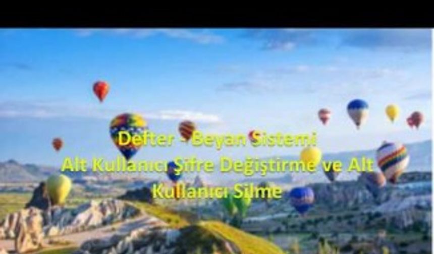 Defter Beyan Sistemi Alt Kullanıcı Şifre Değiştirme ve Alt Kullanıcı Silme