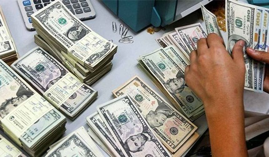 16 Soruda Yeni Döviz Dönüşüm Desteği Uygulaması