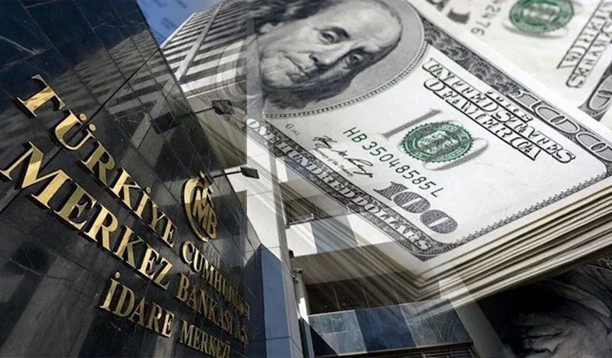Kısa vadeli dış borç çok endişe verici boyutta mı?