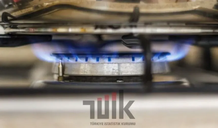 TÜİK'in Doğalgaz Kararı Maaş Zammını Nasıl Etkiler?