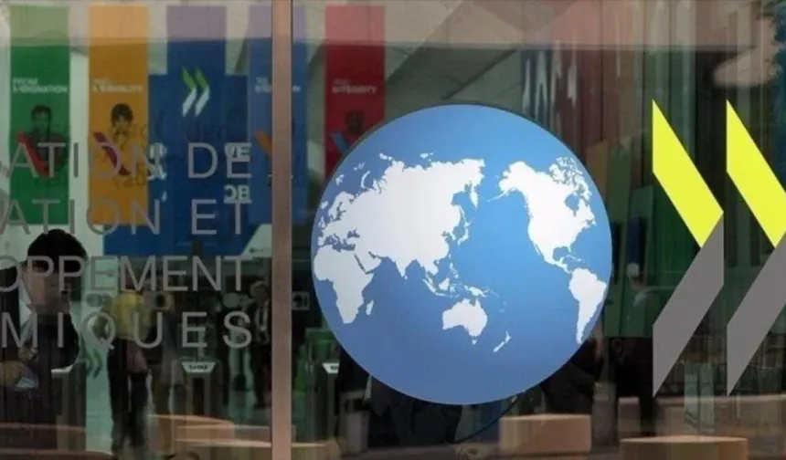 OECD’nin gözünden küresel asgari vergi
