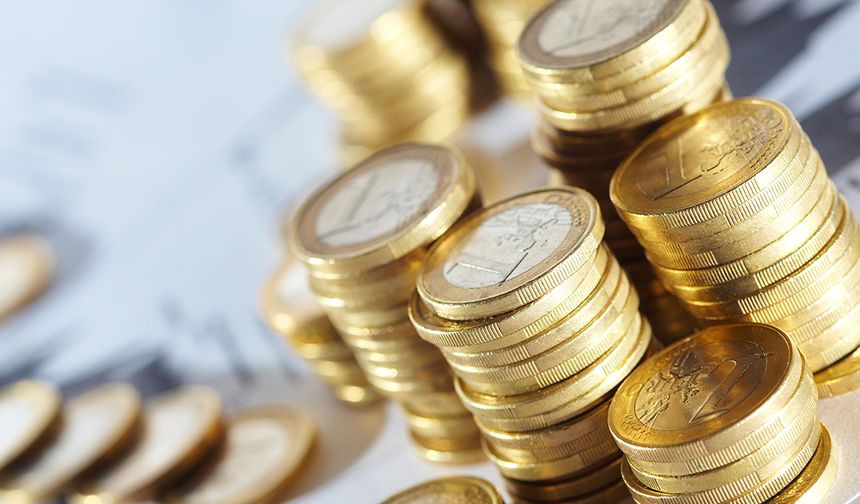 2025 yılı bütçe performansı