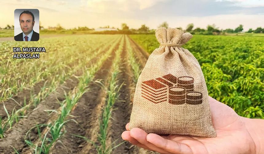 2025 Yılında Elde Edilen Zirai Kazançların, 2026 Mart Ayında Beyanı Nasıl Yapılacak?