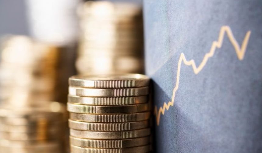 Gelir vergisi mükellef sayısı 2026'nın ilk ayında düştü