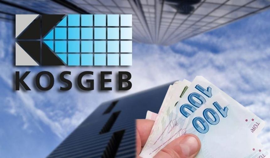 TEKSTİL, GİYİM, DERİ VE MOBİLYA İMALATI SEKTÖRLERİNDE SİGORTALI BAŞINA 2.500,-TL DESTEK VERİLECEKTİR.