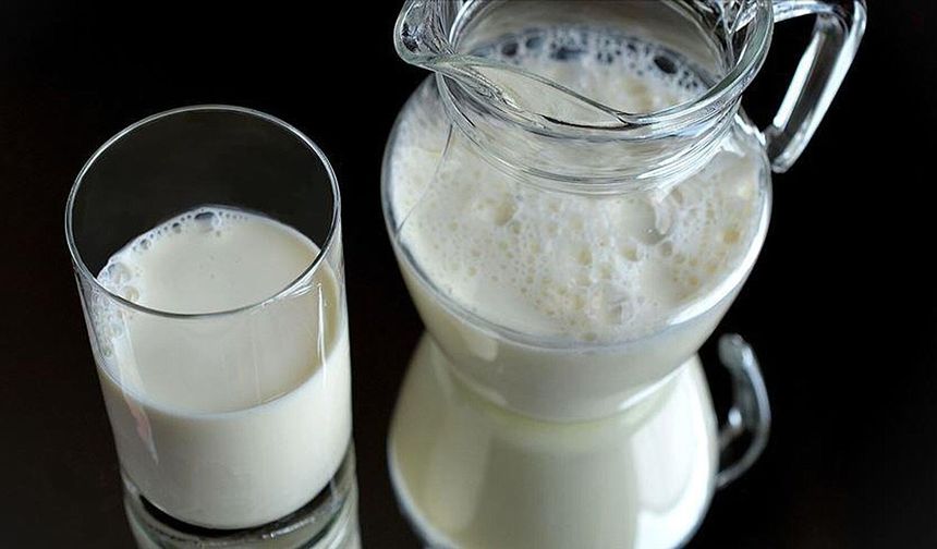 Süt üreticisi zarar etmeye devam ediyor