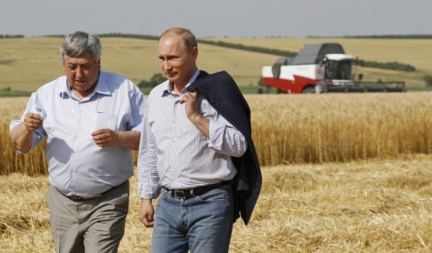 Rusya tahıl ekim alanlarını artırıyor