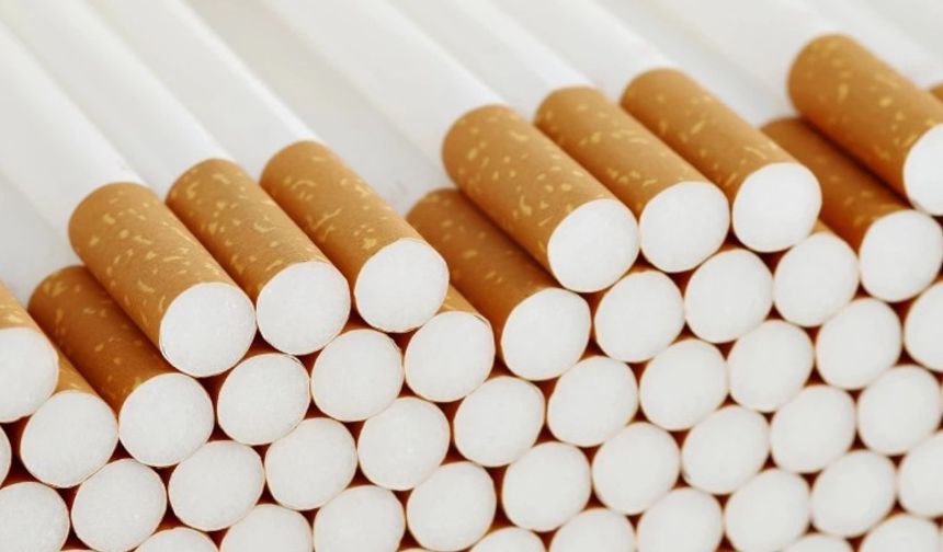 Yaprak sigara kağıdı üretimine sıkı düzenleme