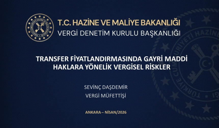 Transfer Fiyatlandırmasında Gayri Maddi Haklara Yönelik Vergisel Riskler