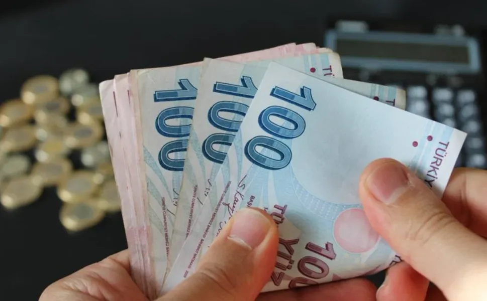 Bir yılda kamuda 125 bin kişi arttı, özelde 507 bin azaldı