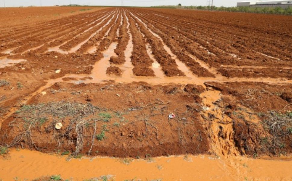 'Türkiye tarımda kullandığı suyun yarıdan fazlasını israf ediyor'